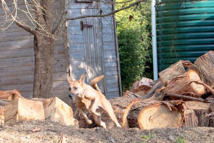 thumbnail _5_